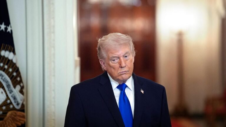 Politologe: Trump könnte darauf hoffen, die Herbst-Wahlen zu verlieren