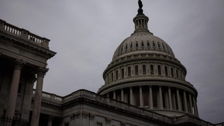 Erfolg für Trump – US-Kongress verabschiedet Milliarden für umstrittene ICE-Behörde