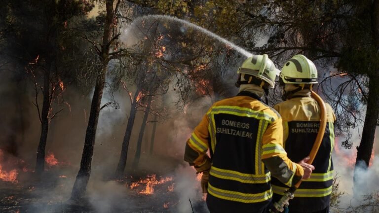Waldbrandgefahr in Europa: EU plant Stationierung von Feuerwehrleuten