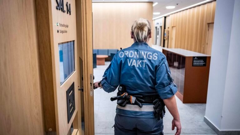 Mehr als vier Jahre Haft für Mann in Schweden